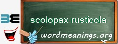 WordMeaning blackboard for scolopax rusticola